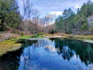 fuentona-1-blog-soria