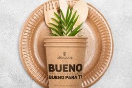 sostenible-vaso-carton